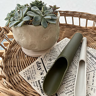 初心者でも使いやすい♡植物との暮らしを楽しむセリアのガーデニンググッズ