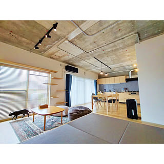 「ずっといたくなるLDKが中心の、リノベで叶えた猫と人が快適に暮らす住まい」 by k_m____.homeさん