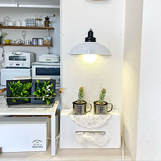 プチプラなのにハイクオリティ☆100均ライトで作る、灯りのある空間