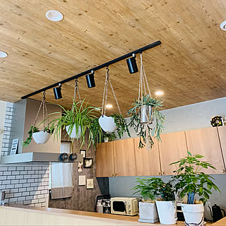 いきいきとしたグリーンで癒される♪植物のある暮らし10選