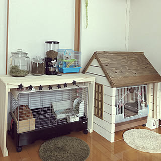 きっと喜んでもらえるはず♡うさぎ用の小屋とおさんぽスペースの実例