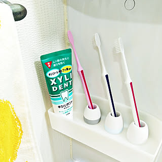 カラッと快適な暮らしをお手伝い♪ニトリの珪藻土アイテム