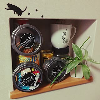 手軽にピタッ！キッチンでのマグネットケース活用法