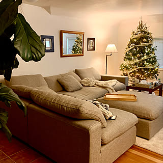 お部屋が非日常空間に♡大きなツリーのあるお部屋の実例集