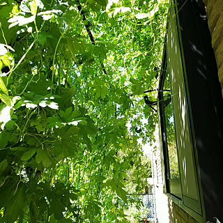 私たちにできること。地球にやさしいエコな暮らしのアイデア