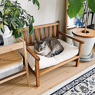 「ペットアイテム」がテーマの素敵な投稿4選