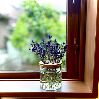 【みんなが選んだ！】花のある暮らしがもっと楽しくなる♪3COINSのフラワーベース5選