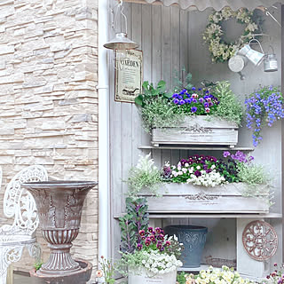 【RoomClipが選んだ厳選3選】「ガーデニング」がテーマの素敵な投稿実例