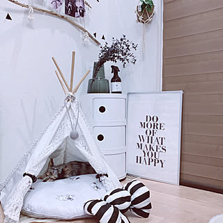 飼い主さんもペットも喜ぶ♡お部屋に映えるペットテントのある暮らし