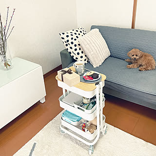 収納力もインテリア性もばっちり!IKEAの人気ワゴン3選と活用法