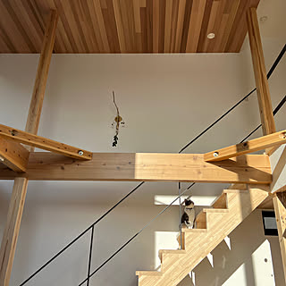 「猫が歩く吹き抜けのある、ナチュラルモダンな家」 by Nobuhikoさん