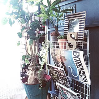 用途に合わせて自由自在に作れる♡ダイソーのワイヤーネットでDIY実例