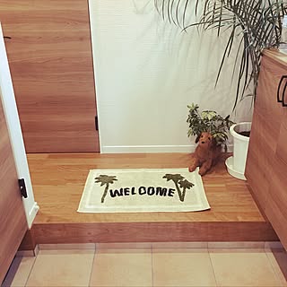家の魅力をアピール☆種類豊富なニトリの玄関マット
