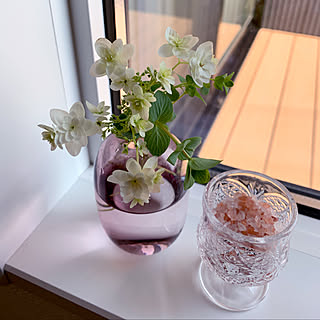 困った虫を寄せ付けない!室内やお家まわりの虫対策10選