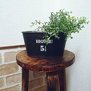 何故か買ってしまう♡使えるダイソーのバケツ&ポット