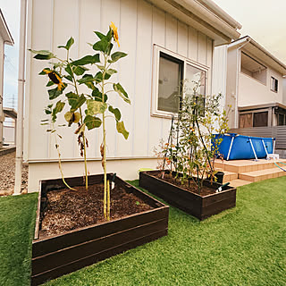 【RoomClipが選んだ厳選3選】「夏の家庭菜園」がテーマの素敵な投稿実例