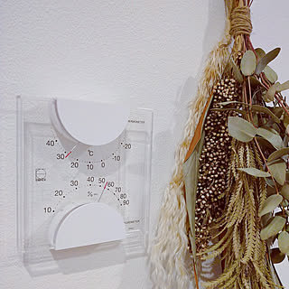 環境管理に役立つアイテム☆お気に入りの湿度計をインテリアにプラス