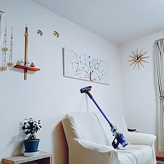RoomClipユーザーさんが選んだお掃除グッズ【家電編】