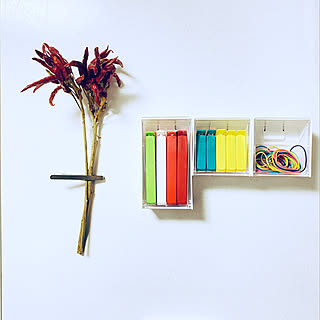 今すぐ買いに行きたくなる♡便利でキュートな100均マグネットアイテム