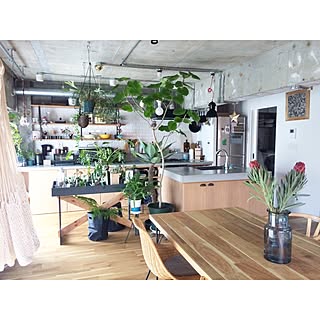 植物を主役に♪みんなに見せたくなるステキなお部屋
