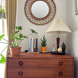 プチプラで立てる収納が叶う！100均のディッシュスタンドを活用した収納アイデア6選