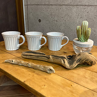 毎日の暮らしを楽しくしてくれる♡ダイソーの食器に注目