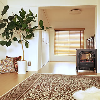 イメージを一新！団地リノベで叶える自分らしいリビング