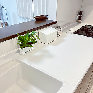 キッチンスペースに合わせて選べる♪快適に使える三角コーナーの代用品