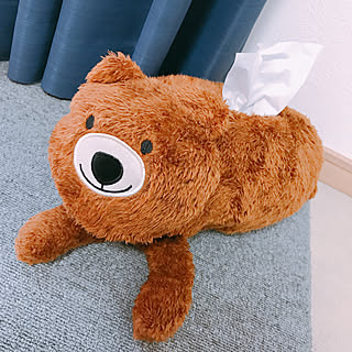 癒されたいなら今すぐダイソーへ♡リラックスできる雑貨