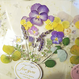 可憐に咲いた姿のままで♡手作り押し花アート作品集