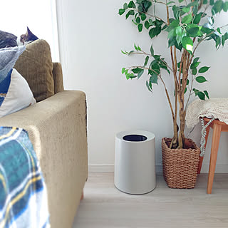 【みんなの口コミ拝見！】ideacoの人気ダストボックス「TUBELOR HOMME」