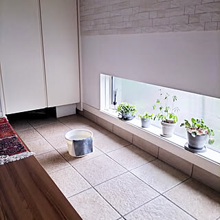 心も身体も快適な一日にするために♪朝にやるといい習慣