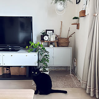 すっきり収納して空間を整える♪IKEAのキャビネットがある暮らし