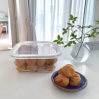 ダイソー耐熱ガラス容器が便利すぎ！使い方実例から見るおすすめポイント