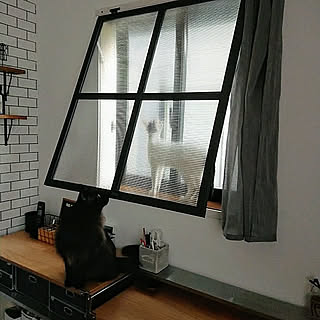 いつもの窓をアレンジして雰囲気の違うお部屋に。窓枠DIYの実例