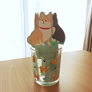 プチプラで乾燥対策ができる♪ダイソーで見つかる加湿器