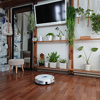 ニトリ＆無印良品で見つけた☆キッチン家電や生活家電10選