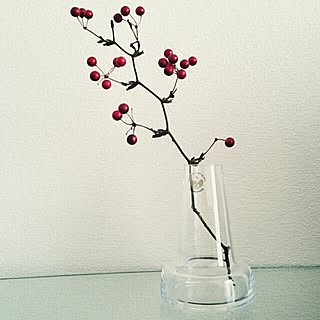 「どこでも誰にでも。眺めていたくなるフラワーベース」わたしの愛用品 vol.23 shimayaさん