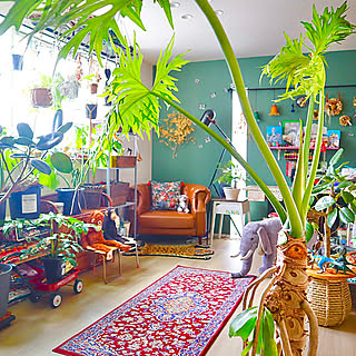 好きとこだわりを詰め込んで!自分らしく妥協しないお部屋づくりのヒント