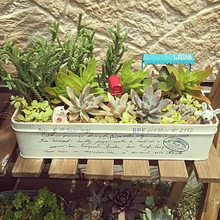 プランターや小物入れに変身♪使い終わった空き缶の活用術