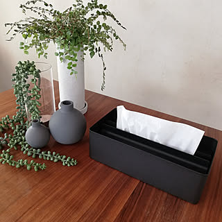 サッと取り出せて補充もしやすい！衛生的な暮らしに欠かせないペーパータオルホルダー6選