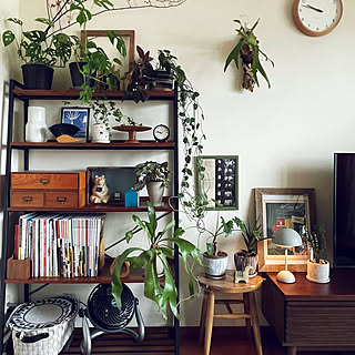 【RoomClipが選んだ厳選3選】「ディスプレイコーナー」がテーマの素敵な投稿実例