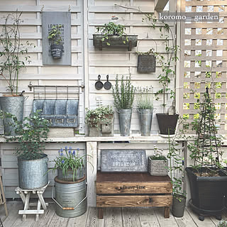 【RoomClipが選んだ厳選3選】「ガーデニング」がテーマの素敵な投稿実例