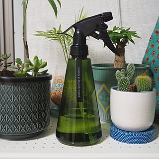 お部屋のアクセントに!ダイソーのカラーボトル10選