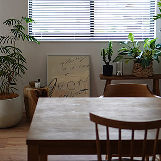 「北欧モダンと植物を楽しむ、上質で心地よいおうち」 by otoさん