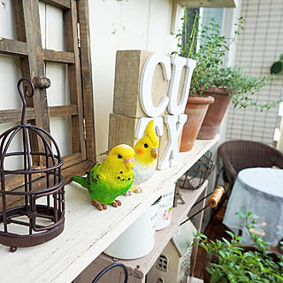 わたしらしい空間を彩る♡好きなインテリアから選ぶセリアの雑貨特集