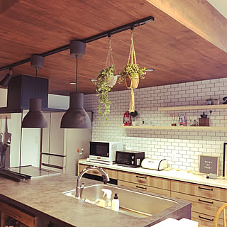 そこにあるだけで癒しの空間に♪インテリアグリーンを上手に取り入れる方法