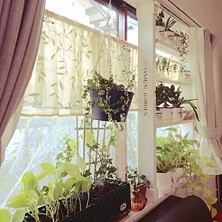 カーテン一新!気分も一新!お部屋別大満足の秘訣