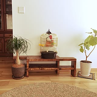 いつもそばにいたいから♪インテリアになる鳥用品カタログ