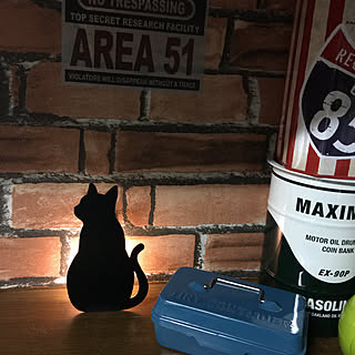 ニャンコに癒される♡100均の猫アイテム集めてみました